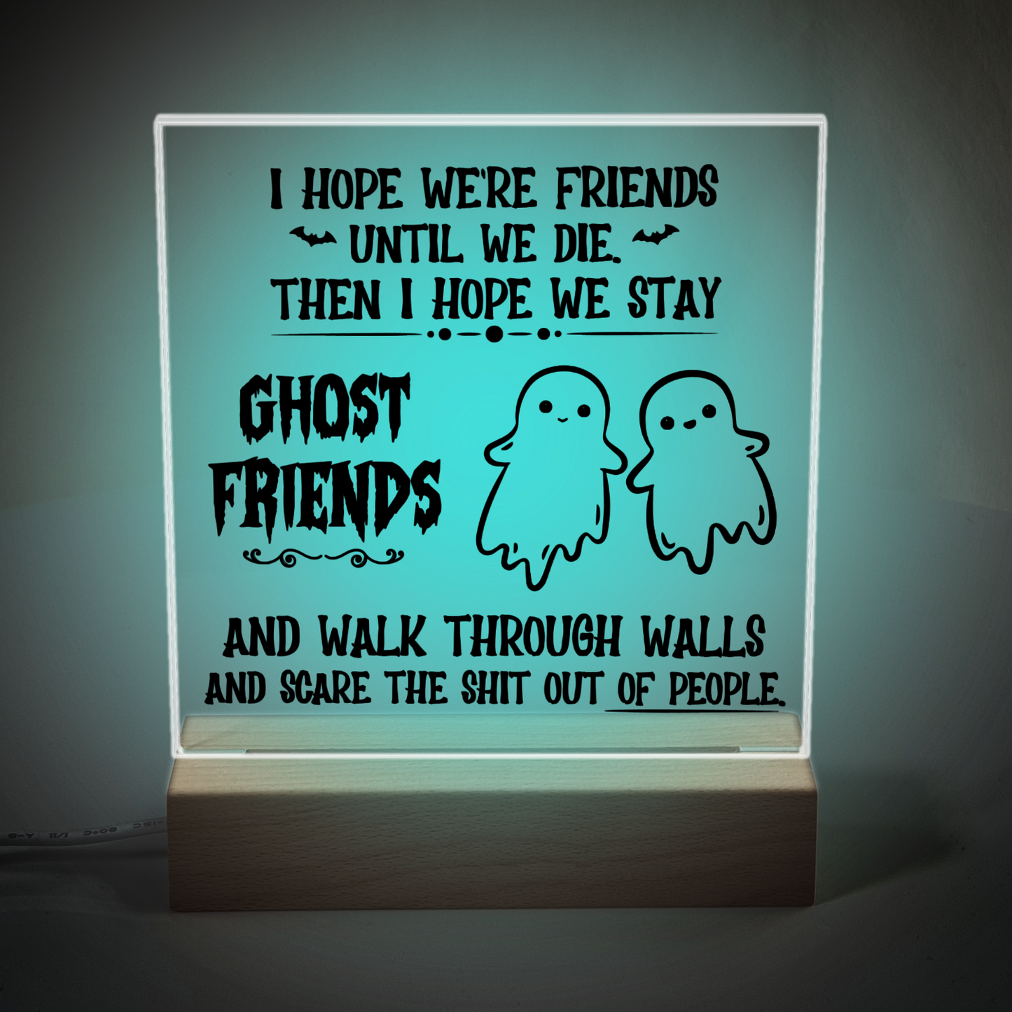Acrylic Plaque and Night Light - I Hope We're Friend Until We Die